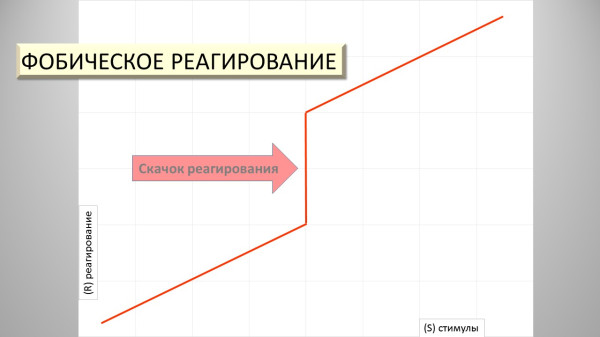 Слайд3