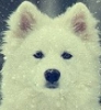 [userpic]