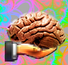 [userpic]