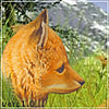 [userpic]