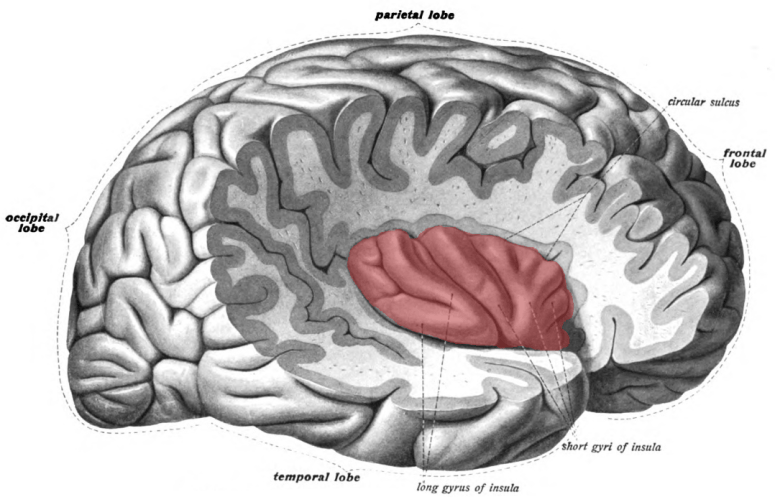 image25681850_f38d722e692582cd8a1ca10df9b03905.png