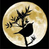 [userpic]