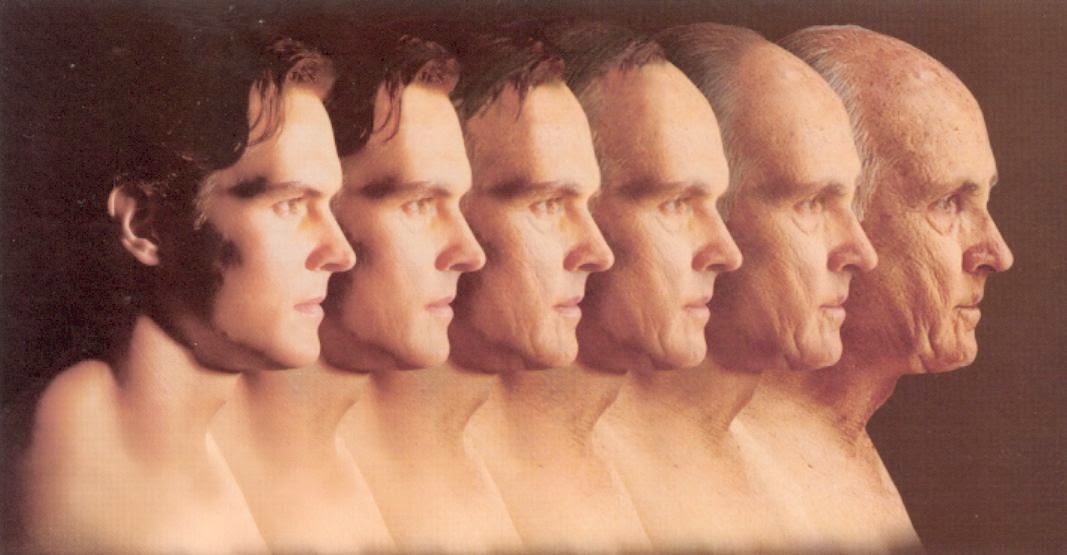 [pic]