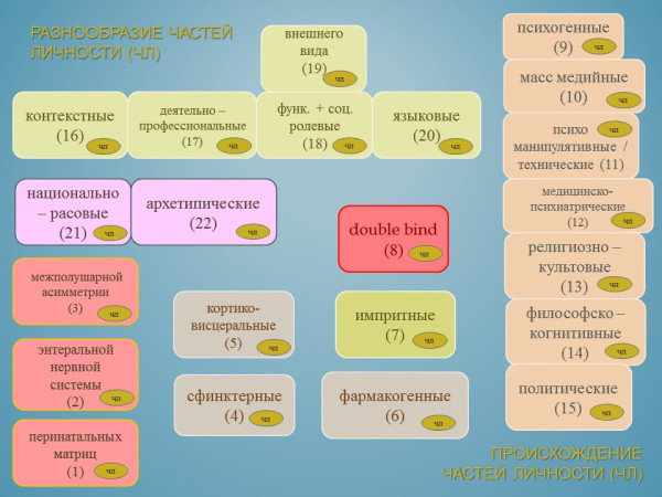Слайд6