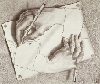 [userpic]