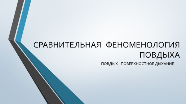 Слайд1