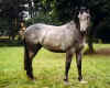 [userpic]