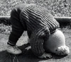 [userpic]