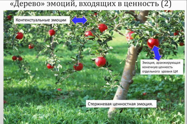 Эмоции ценностей