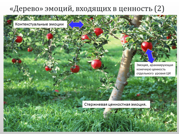 Эмоции ЦИ